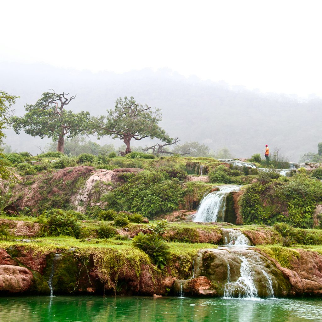 Discover The Magic Of Salalah: Your Best Travel Guide From Dubai